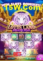 Casino Ao Vivo Bet505